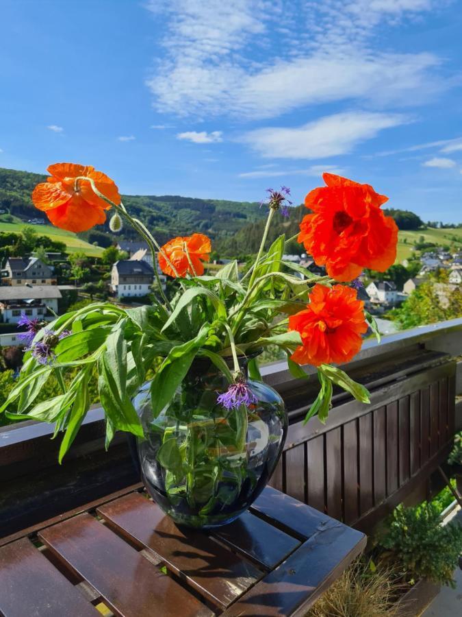 Apartamento Panoramablick Willingen Schwalefeld Exterior foto