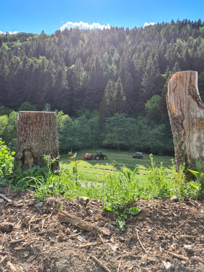 Apartamento Panoramablick Willingen Schwalefeld Exterior foto